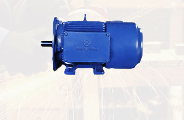 Brake Motors