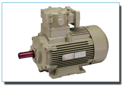 High Efficiency Flameproof Motors