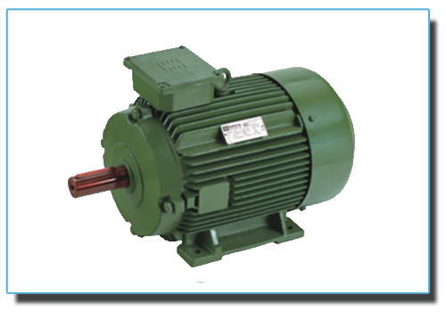 High Efficiency Standard Motors