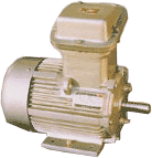 Flame Proof Motors