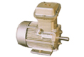 Flame Proof Motors
